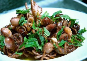 Ruốc lỗ- Small Octopus in Ha Long