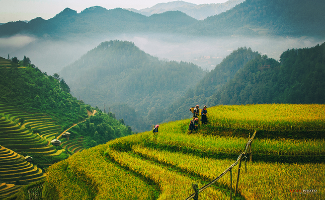 Three Natural Landscapes Of Vietnam Shortlisted In The World Famous Places (3)