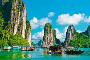 Wonderful things to find in Halong Bay