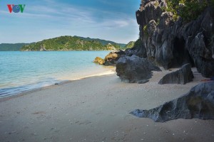 Unspoiled charms of deserted beaches in Quang Ninh