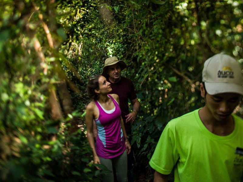 Trekking through jungles to Viet Hai village